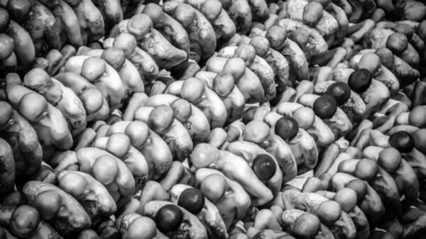 Bukele-Salvador-Principal Bukele, modelo de gobierno de derecha radical