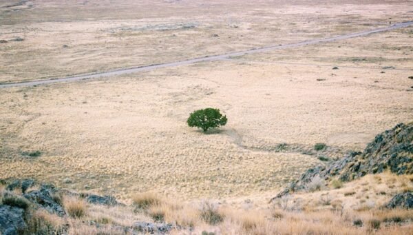 escasez de agua en españa