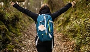 Camino de Santiago