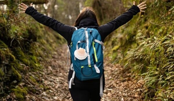 caminosantiagoPrincipal Camino de Santiago