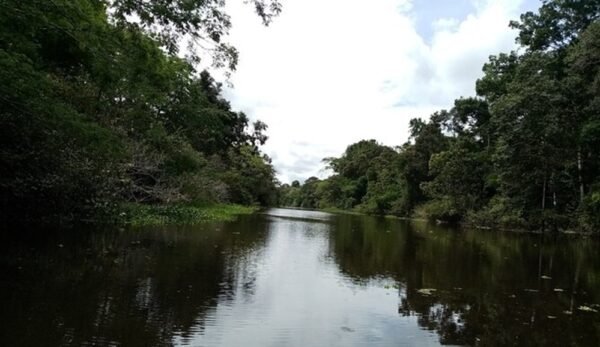 supervivenciaAmazonasPrincipal Amazonas