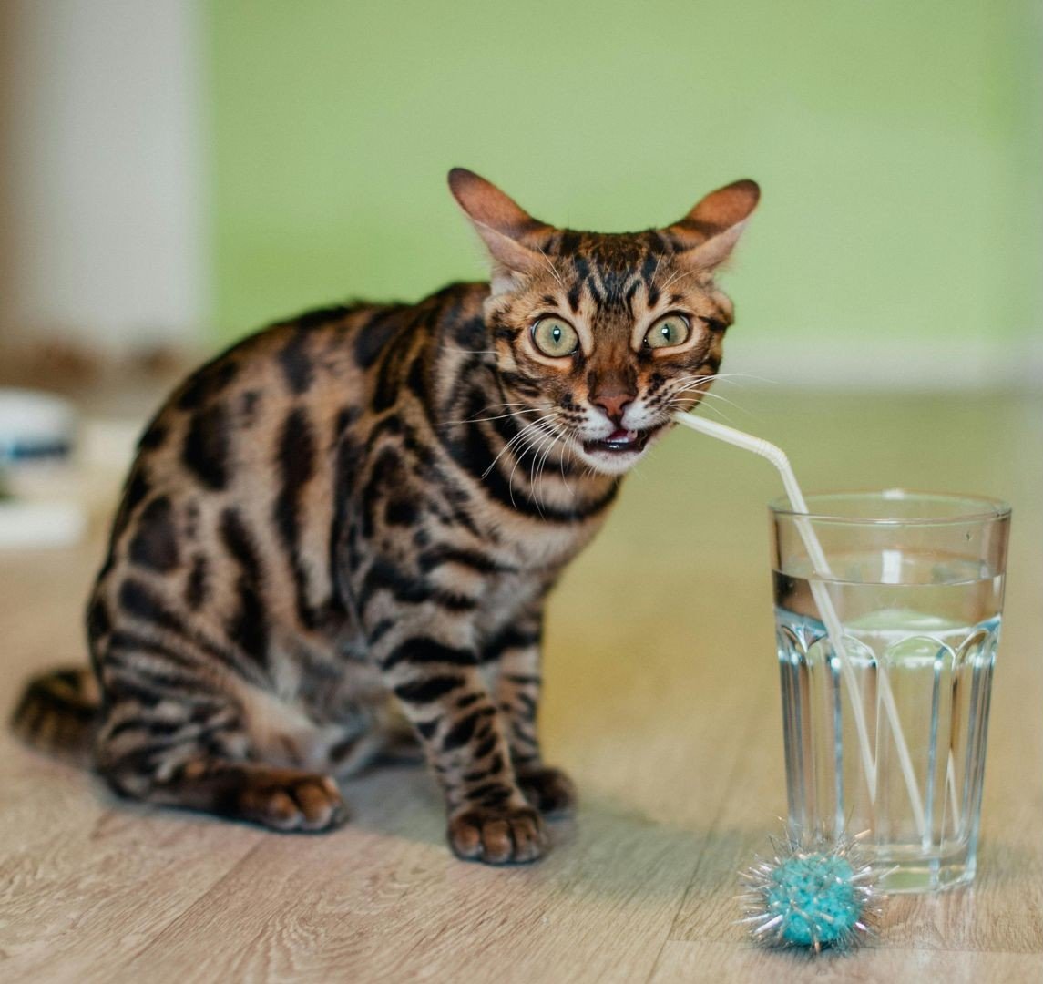 Agua Potable